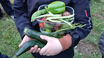 harvest from the park